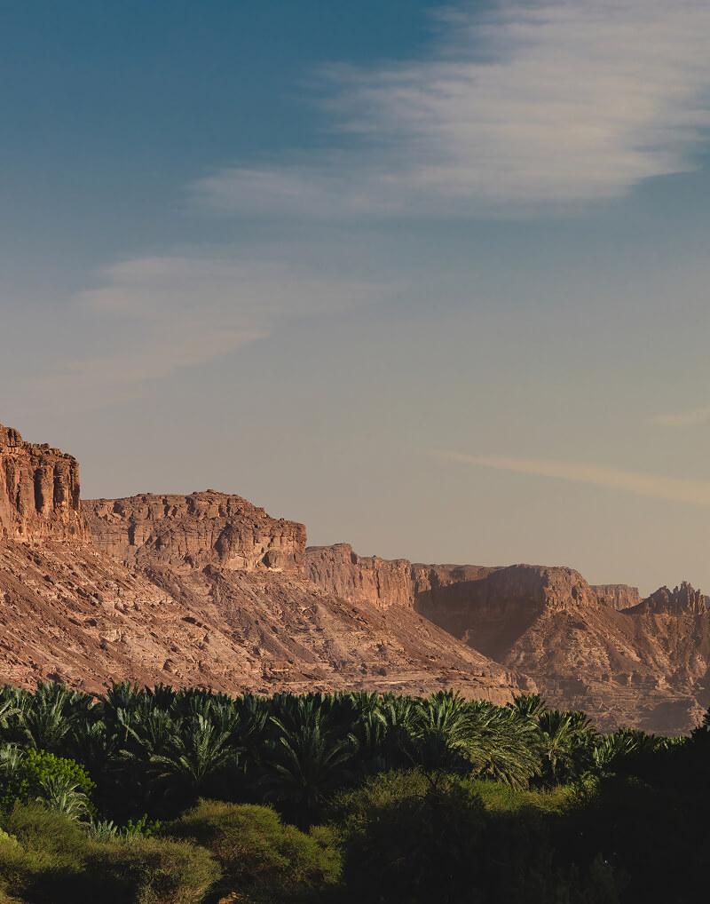 Falaises de grès surplombant l'oasis d'AlUla