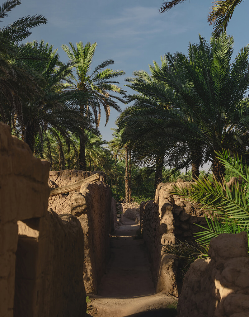 Ruelle de la vieille ville d'AlUla bordée de palmiers
